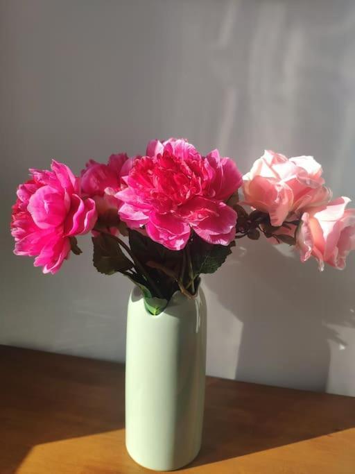 옹플뢰르 Les Coquelicots 아파트 외부 사진